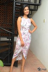 Anisha Ambrose at Run Movie Gummadikaya Function
